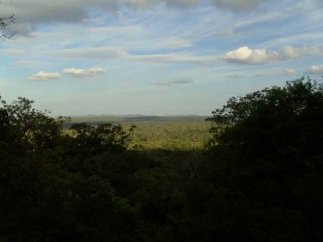 Trek the Forest Monastery of Ritigala
