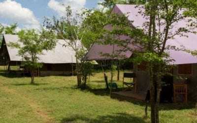 Big Game Camping in Yala National Park (and UDE Walawe, Wilpattu)