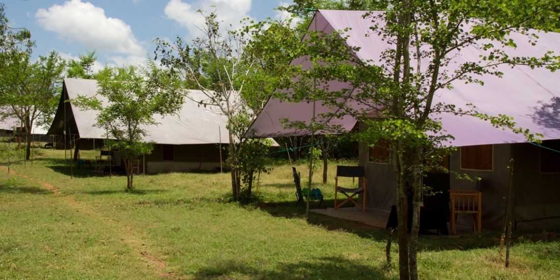 Big Game Camping in Yala National Park (and UDE Walawe, Wilpattu)