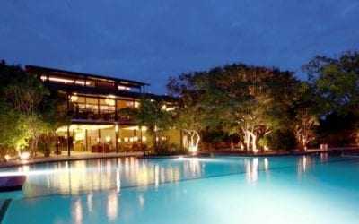 Cinnamon Wild, Yala