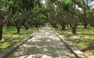 Thilanka Resort And Spa, Dambulla