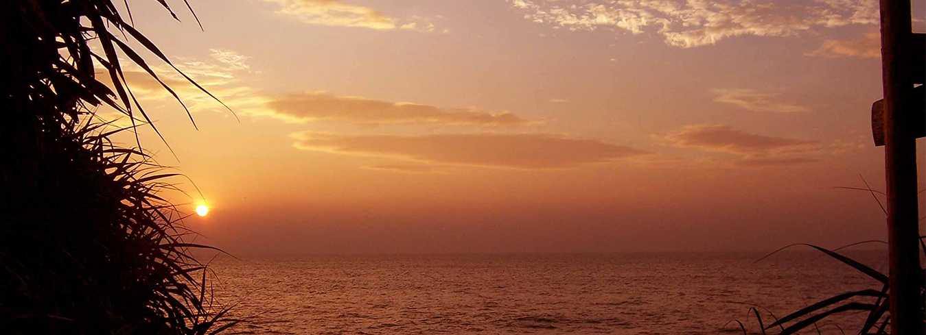 Sri Lanka still Lonely Planet’s top destination for 2019