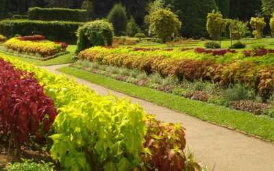 Peradeniya Botanical Garden