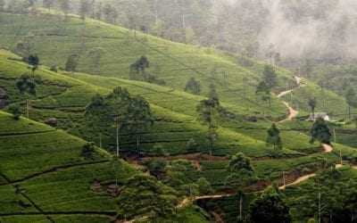 Survey the beautiful sweeping views at Lipton’s Seat