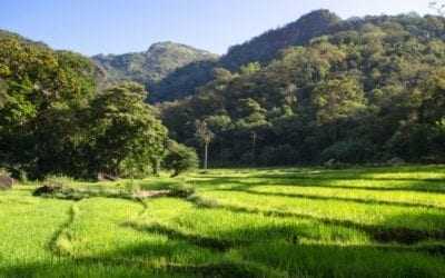 Hike the Knuckles Mountain Range