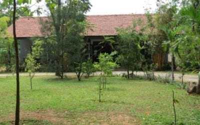 Ficus Grove, Habarana