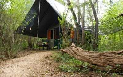 Mahoora Tented Safari