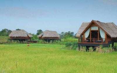 Jetwing Vil Uyana, Dambulla