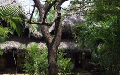 Kumbura Ecolodge, Sigiriya