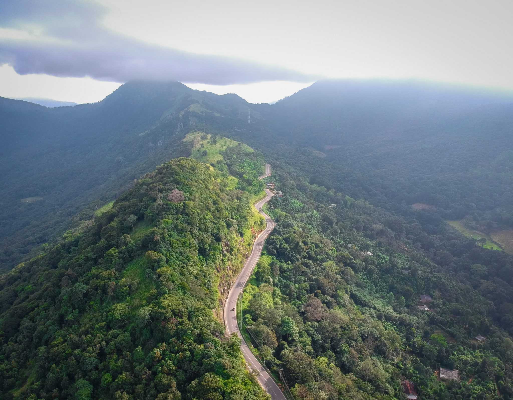 Hills of Sri Lanka