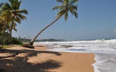 15 Day Group Family Holiday in Sri Lanka