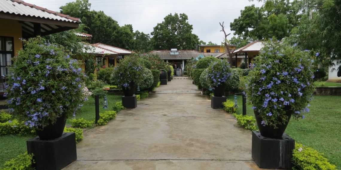 Flower Garden Lake Resort near Yala National Park